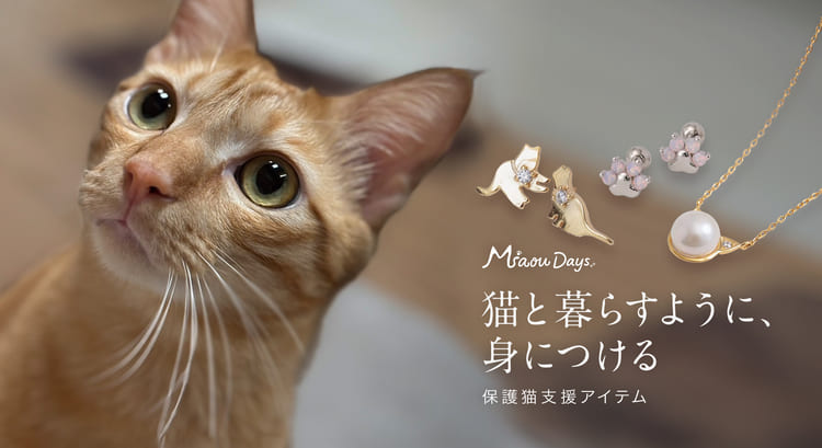Miaou Days｜猫と暮らすように身につける。保護猫支援アクセサリー