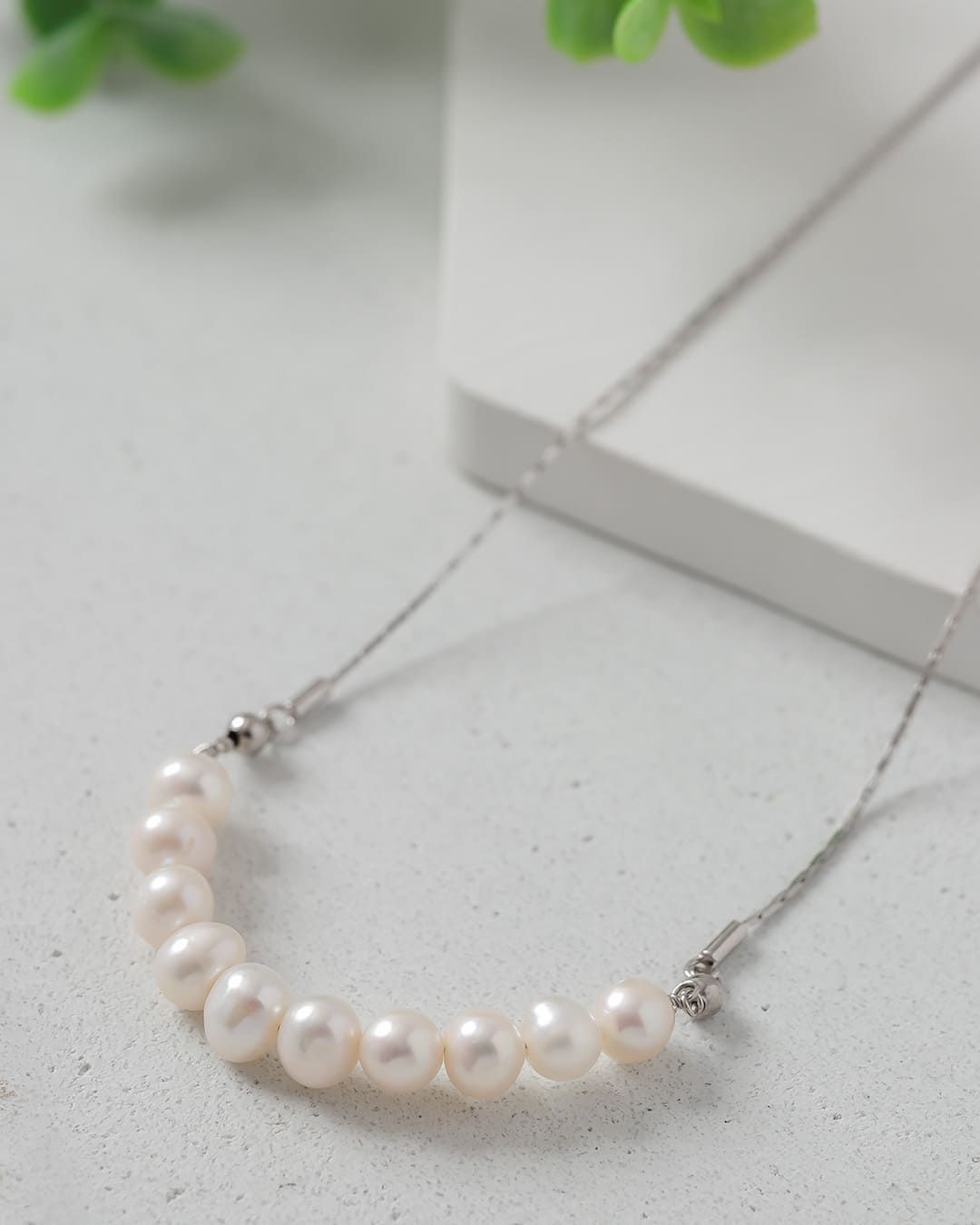 nl2210-069_6_2048x.jpg?v=