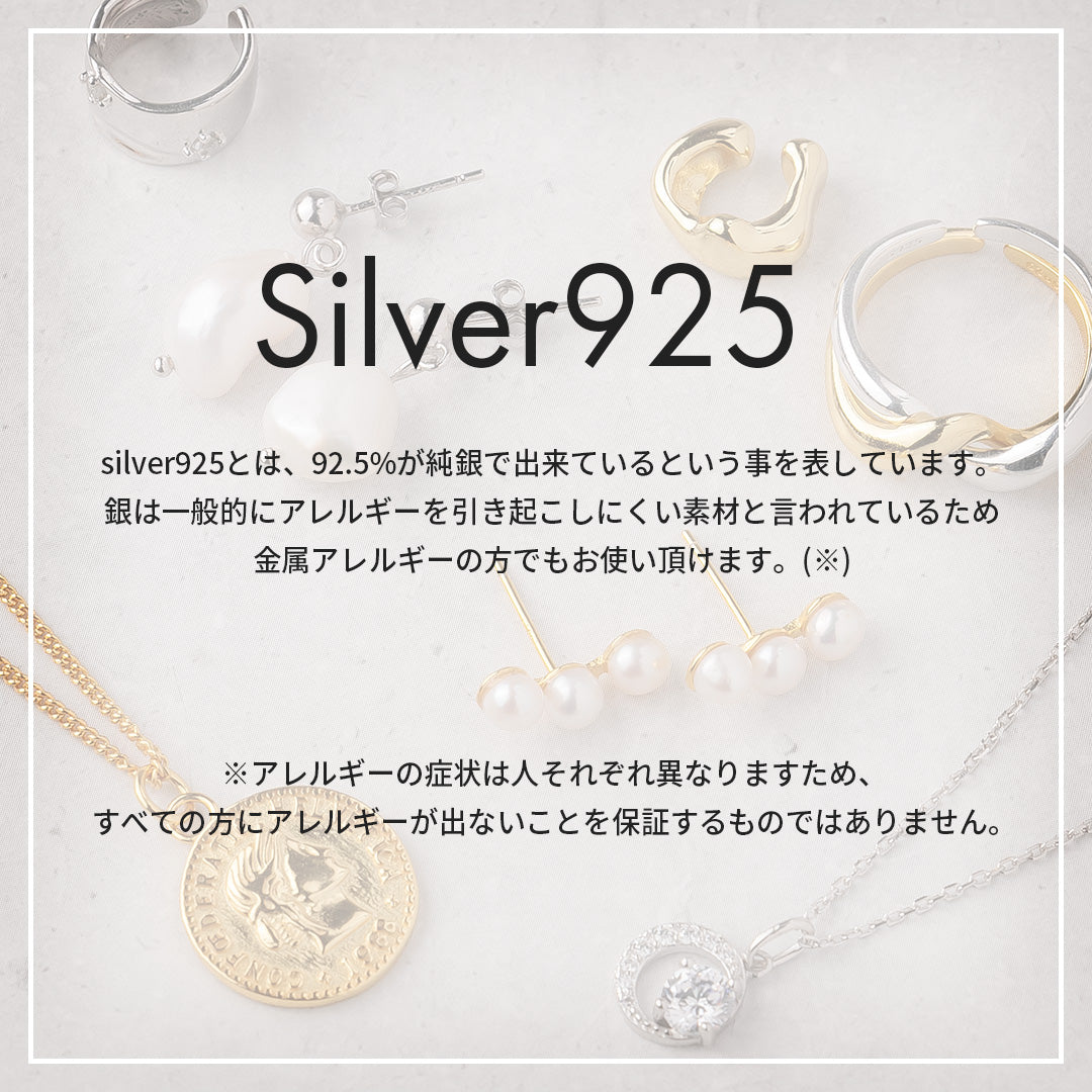 極美品　ルードカオス　チバユウスケ　ハミングバード　ピアス　受注生産　完売品 Amazon.co.jp: チバユウスケ グッズ ルードカオス ハミング